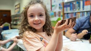 IN PICTURES: Prehistoric pottery and RTÉ nature talk for Laois Heritage Week
