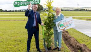 Hedgerow plant giveaway at the National Ploughing Championships