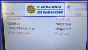 Uninsured driver arrested after failing roadside drug test in Laois