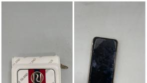 Laois Offaly Gardai share lost and found items