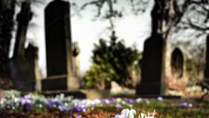 Almost €3,000 donated in support of Laois widow