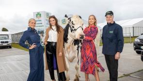 Lots of help  on tapping into rural and community funds at The Ploughing in Laois