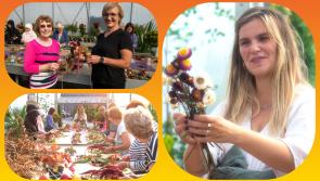 LAOIS IN PICTURES: The Flower Witch weaves wonderful weaves