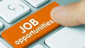 JOB ALERT: Mountrath Community School seeking a Caretaker