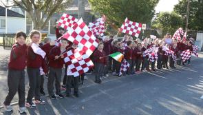 Ballinakill  shows why it is the Laois Pride of Place 2022
