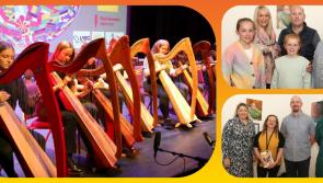 IN PICTURES: Captivating Laois Culture in Portlaoise