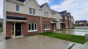 Clúid 'disappointed' at delay to finishing Laois social houses