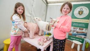Toy piglets and lambs delivered by Laois children at the Ploughing