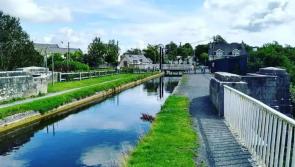 Big tourist attraction and local amenity in Laois and Kildare nearly done