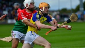 Abeeyleix runaway winners of the Laois premier intermediate final 