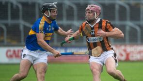 Live Blog: Follow all the action from the Laois Senior and Premier Intermediate Hurling Finals 