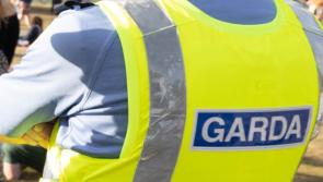 Covid symptomatic woman coughed in faces of gardai