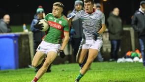Conor Kelly masterclass helps Graiguecullen overcome Stradbally