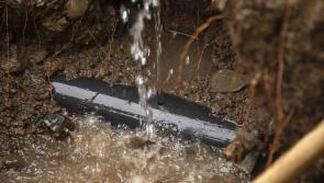 Laois council called on to have out of hours house repair service for its tenants