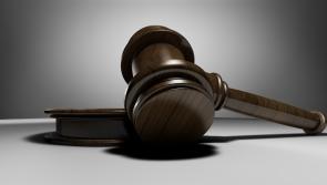 Polish fraudster who stole over €150,000 jailed