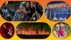 Be an early bird to the Forest Fest fun in Laois next summer