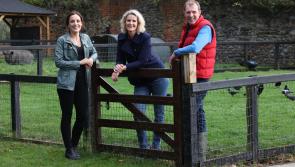 Laois man features in new series of popular RTÉ show