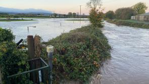 Unblocking Laois river 'vital' council told