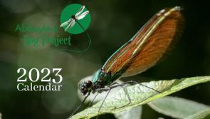Stunning nature photographs in 2023 Laois bog calendar