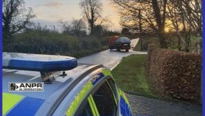 Gardai seize car in Laois