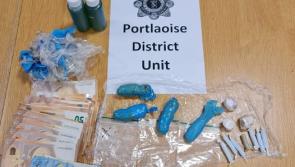 Portlaoise Gardai arrest two as drugs and cash seized