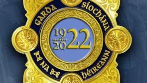 Gardai appeal over assault and attempted robbery in Portlaoise