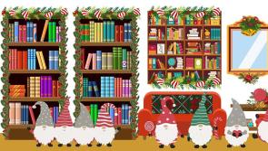 Special Christmas events in store at Portlaoise Library
