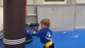 WATCH: Little Laois kickboxers 