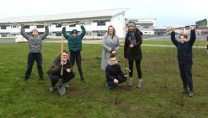 IN PICTURES: Four little woodlands planted at Laois schools