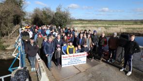 Plan to rehabilitate Laois bridge saved from concrete inch forward