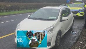 Laois Gardai assist in recovery of stolen car as five arrested