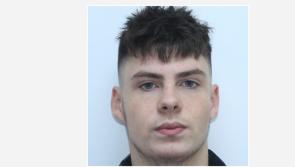 Gardai renew appeal over missing Laois teen