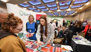 Looking for a job in Laois? Countdown is on to the Laois Jobs Fair 2023