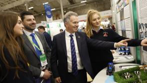 Laois students praised  for BT Young Scientist entry