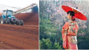 You wouldn't believe where tonnes of Midlands peat probably ended 