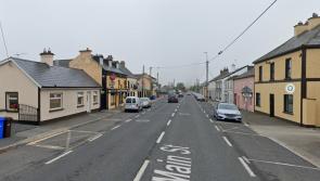 Plans for 99 houses and creche in Laois village appealed