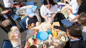 Rise in Ukrainian children who have found refuge in Laois