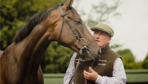 RACING: Paul Nicholls on weekend runners