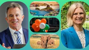  Samba and safari for Laois and Offaly representatives promoting Ireland on St Patrick's Day