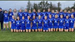 Laois Camogie team defeated in league opener against Meath