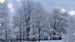 Short, sharp, shock of winter weather Met Éireann forecasts tumbling temperatures 