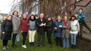 Laois deadline looms for communities with many Ukrainians to get special grants
