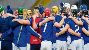 Laois hurlers hoping to up performaces levels against The Cats