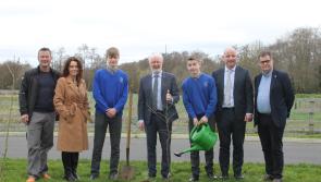 Government Minister puts down roots in Laois school