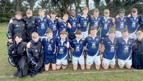 Ever-improving Portlaoise come up just short