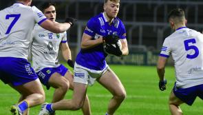 Laois hoping to bounce back to winning ways against Waterford