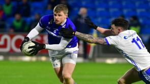Lowry to the fore as Laois return to winning ways in Division 4