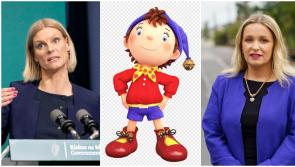 Laois Offaly row over Noddy jibe at Greens