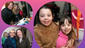 In Pictures: Wonderful exhibition of school creations at Laois Arthouse