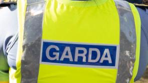 Man dead , another arrested after incident in town near Laois